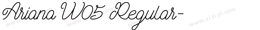 Ariana W05 Regular字体转换